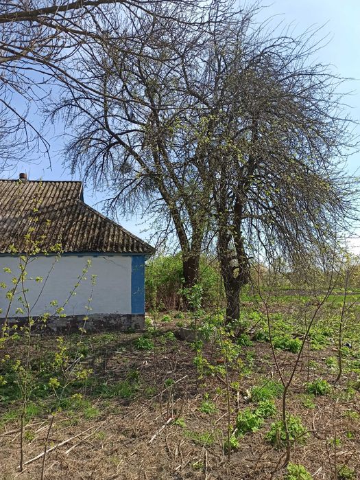 Продається будинок.