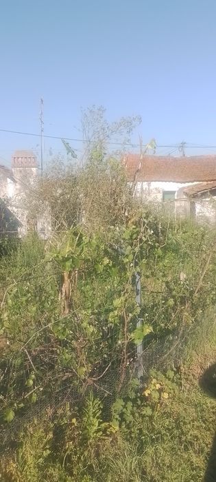 Moradia com terreno em Azoia Leiria