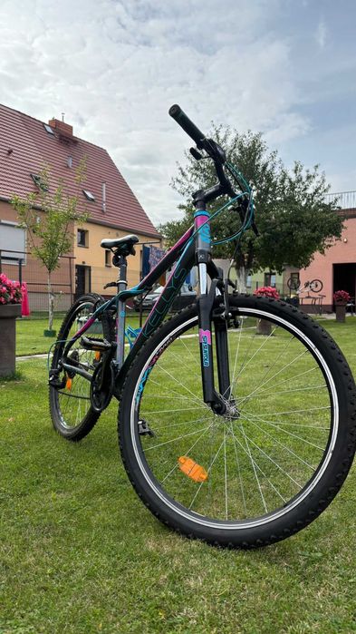Rower MTB Kellys Vanity 20