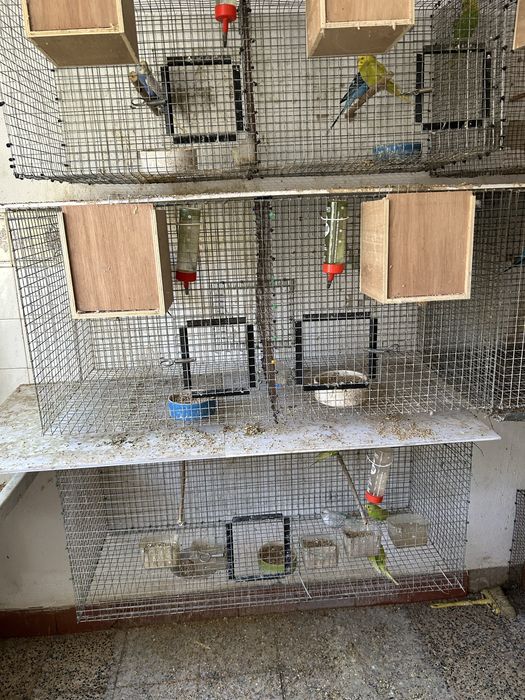 Vendo gaiolas e ninhos
