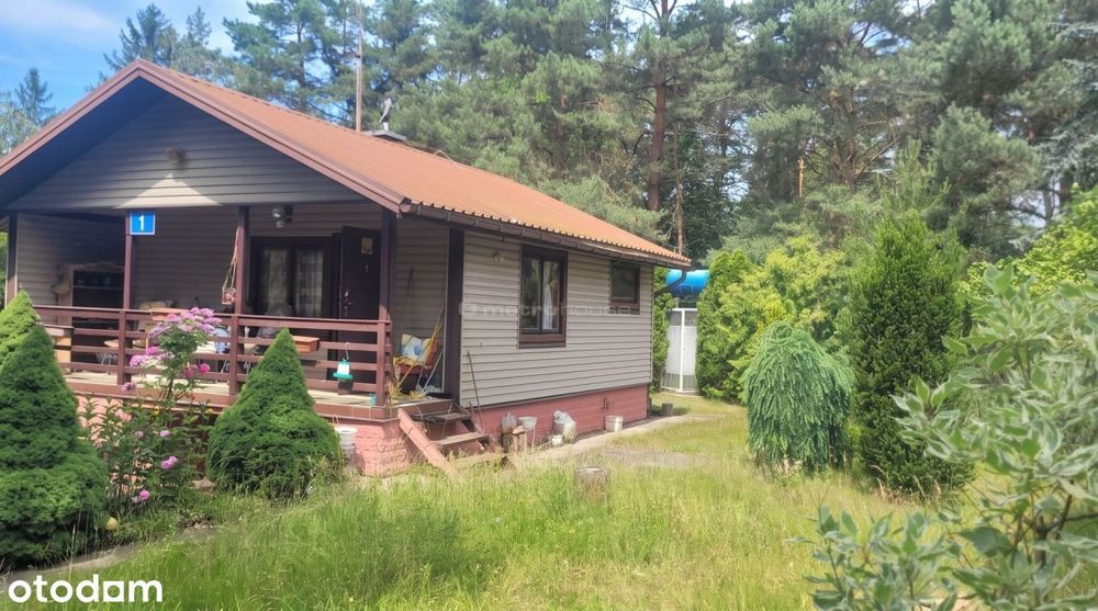Dom 72m2 z ogrodem w lesie. Arciechów nad Bugiem.