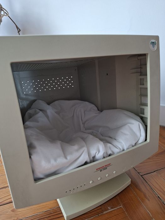 Monitor - cama para gato