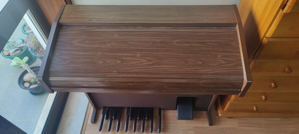 Órgão Viscount RBX 850