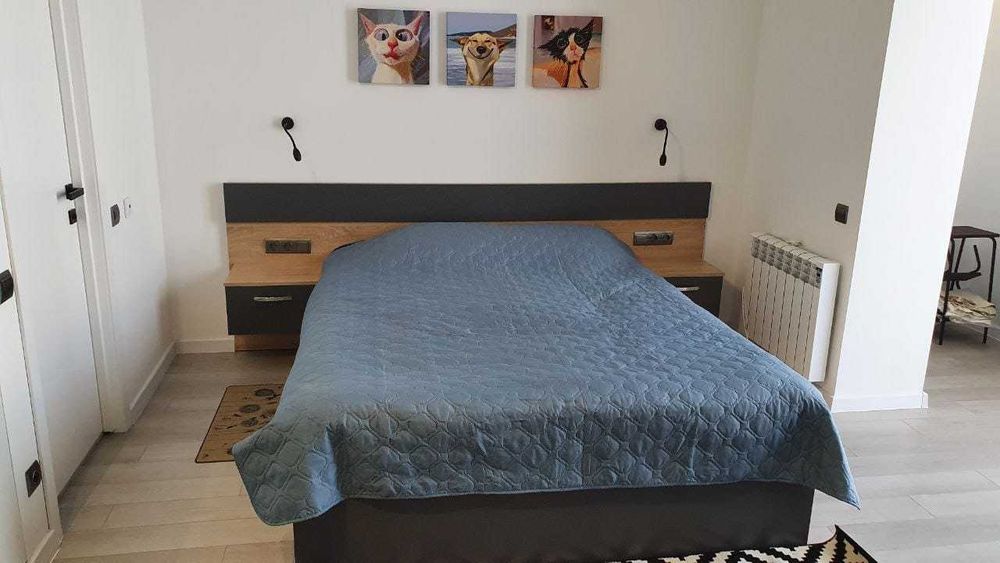 Apartment in Polyana - View 5