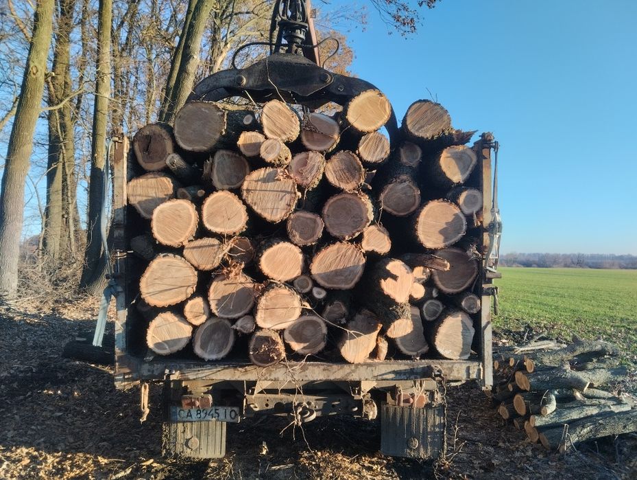 Продам дрова твердих порід опт/ розница