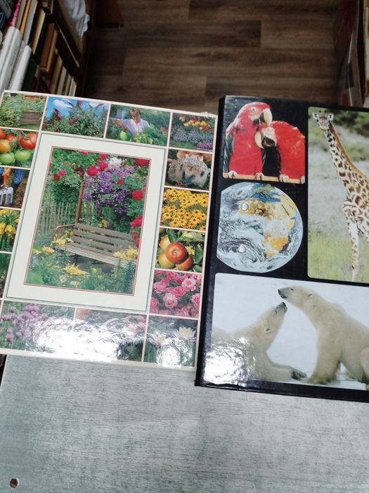 Сад моей мечти  Енциклопедія підписка журналів папки