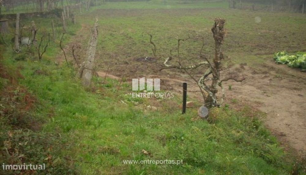 Venda Terreno, Várzea do Douro, Marco de Canaveses