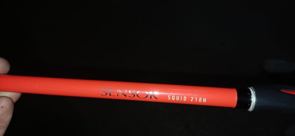 Canas pesca ao choco daiwa barros