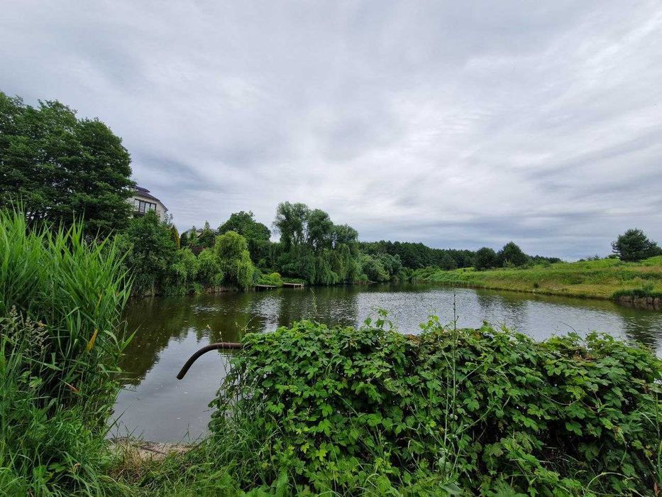 Затишна дача біля соснового лісу с. Любимівка