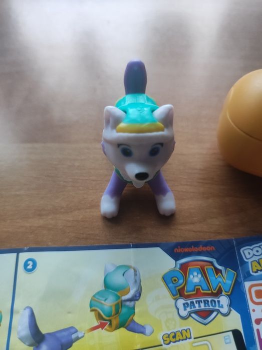 Everest Psi Patrol paw