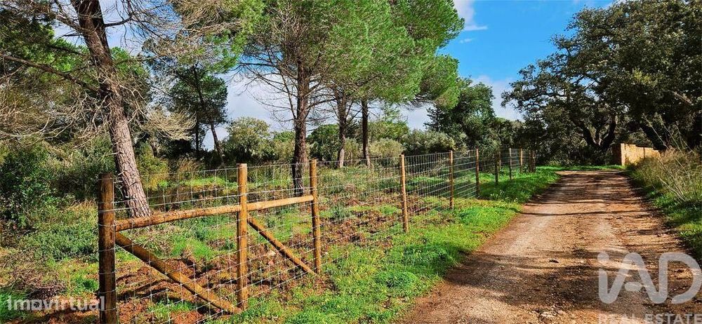Terreno Agrícola em Bensafrim e Barão de São João