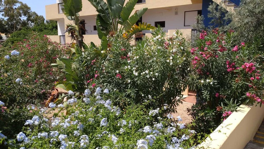 T2 Apartamento Férias em Albufeira a 3 min da Praia do Forte s. João de 6 a 13 Junho