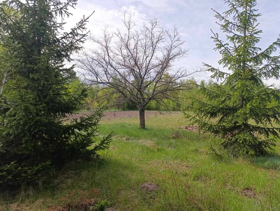 Дачний будинок для постійного проживання !