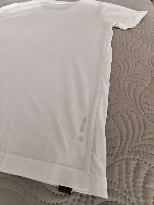 Koszula Salewa Puree Building Dry W T-shirt