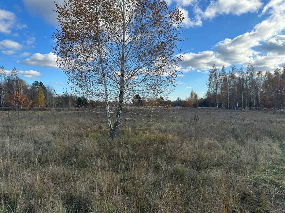 Продаж  ділянки 38,36сот.(25 сот під забудову+13,36ОСГ)Почепин.ID:732