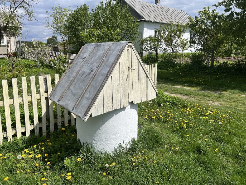 Будинок в селі Острів  поруч сосновий ліс та річка