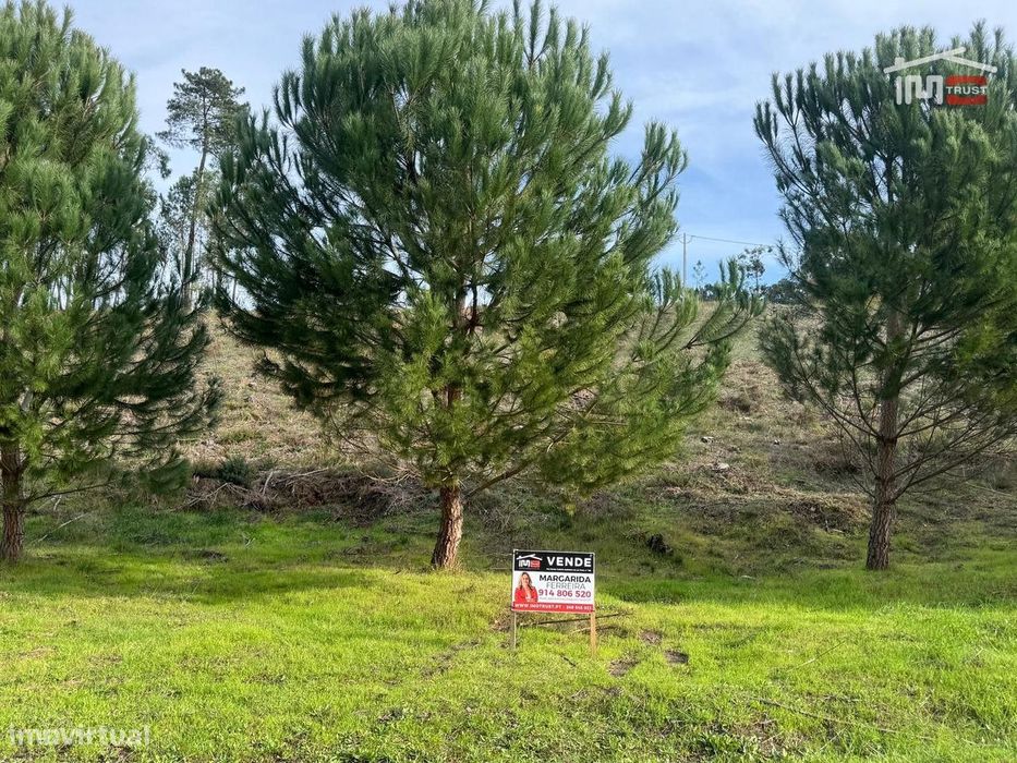 Terreno com pinhal com área 7.700 m2 com possível viabilidade de co... — Seiça, Santarém