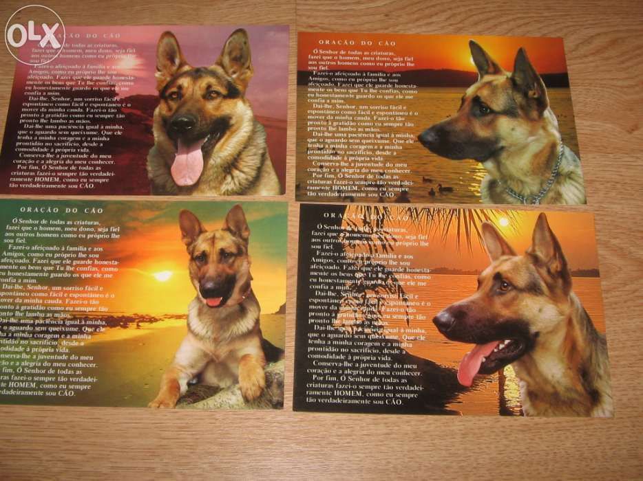 Postais Ilustrados tema Oração do Cão (4)