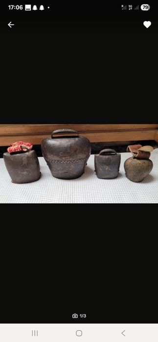 Dzwonki Alpejskie , Bawarskie na Krowy i owce