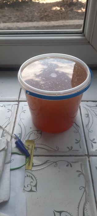 Мед з різнотрав'я