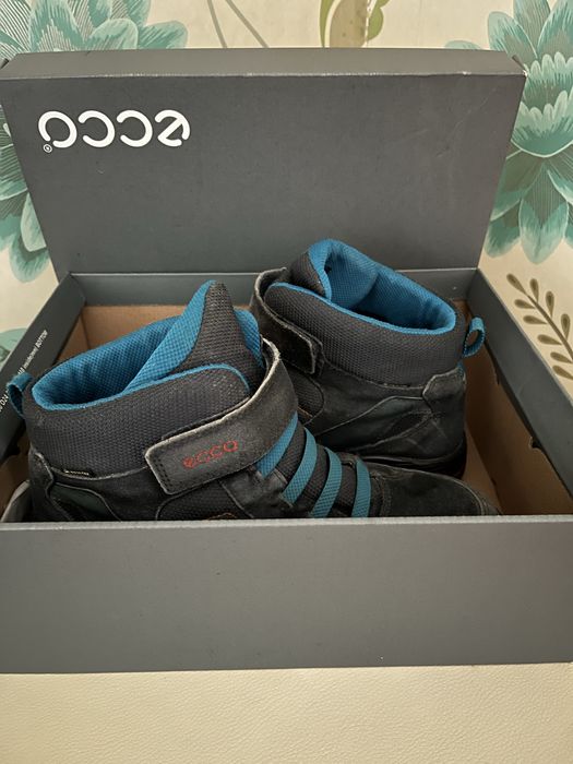 Черевики зимові ecco. 39р, В гарному стані