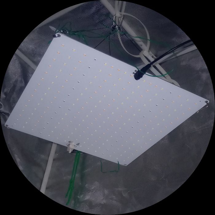 Led лампа светодиодная GrowBoard 3.0 Samsung LM281B+ 60W