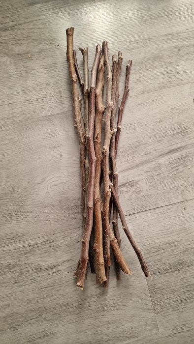 Gałązki z jabłoni dla gryzoni 10 szt. 38 cm.