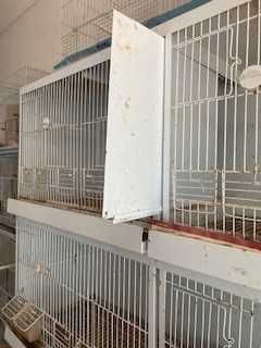 Gaiolas para passaros pequenos