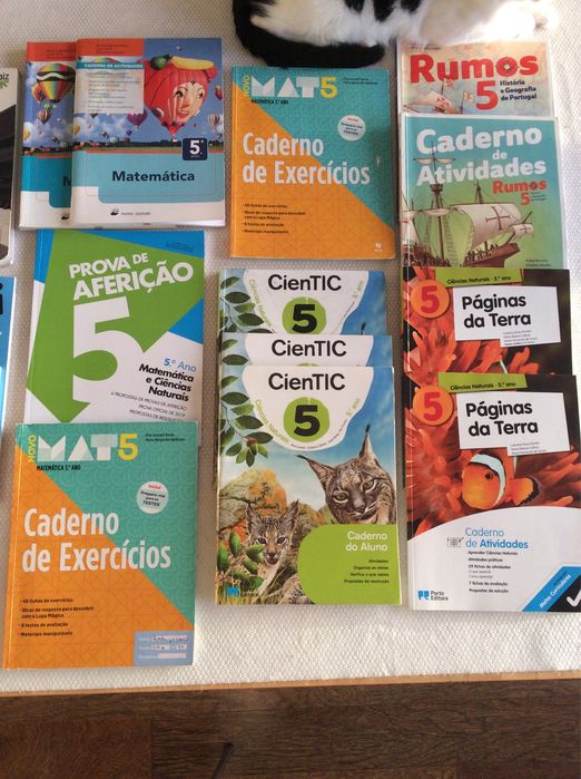 Cadernos e livros 5 ano