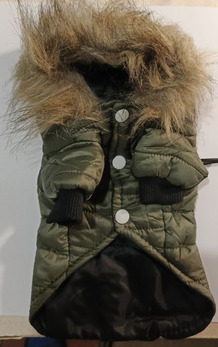 Одяг для домашніх улюбленців.