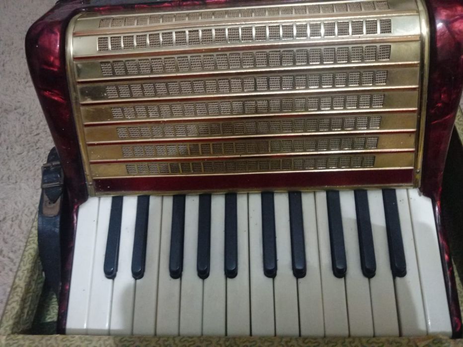 Akordeon Weltmister