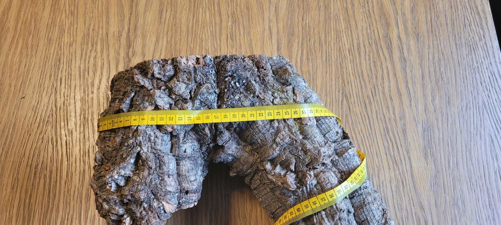 Korzeń do terrarium