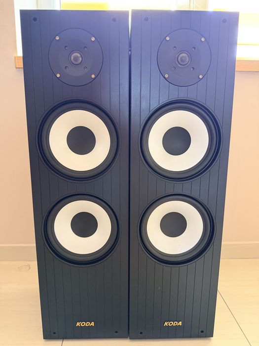 Glośniki Koda 100 W