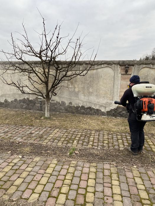 Обрізка плодових дерев. Обрізка саду