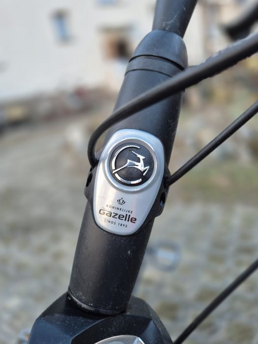 Rower Gazelle Chamonix Plus LTD