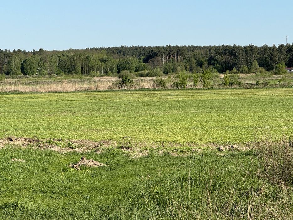 Новосілки Боярське ОТГ 1,6 Га забудова  фасад  , кутова ОБМІН