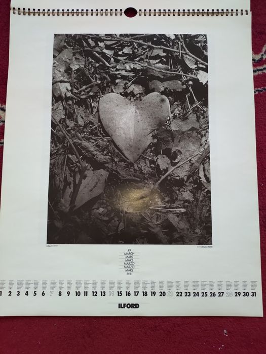 Calendário de parede Ilford 1999