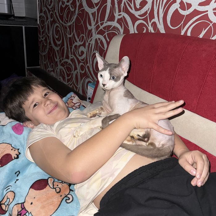 Котик запрошує на вязку