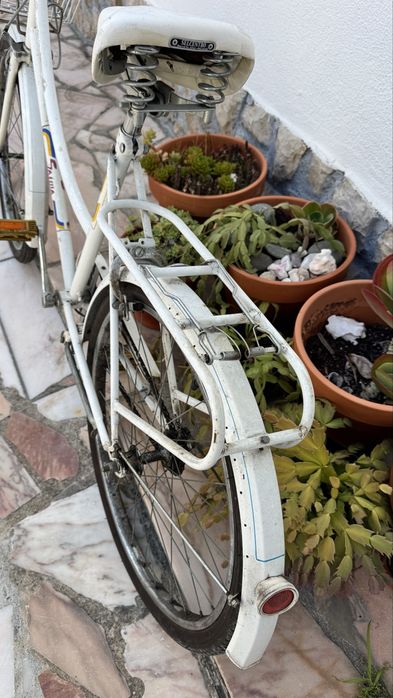 Bicicleta Esmaltina