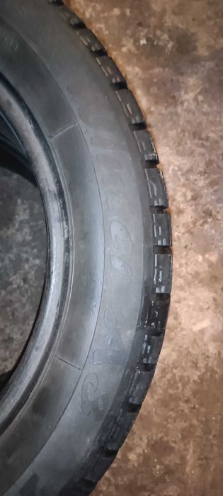 glob-Gum winter a3 R16