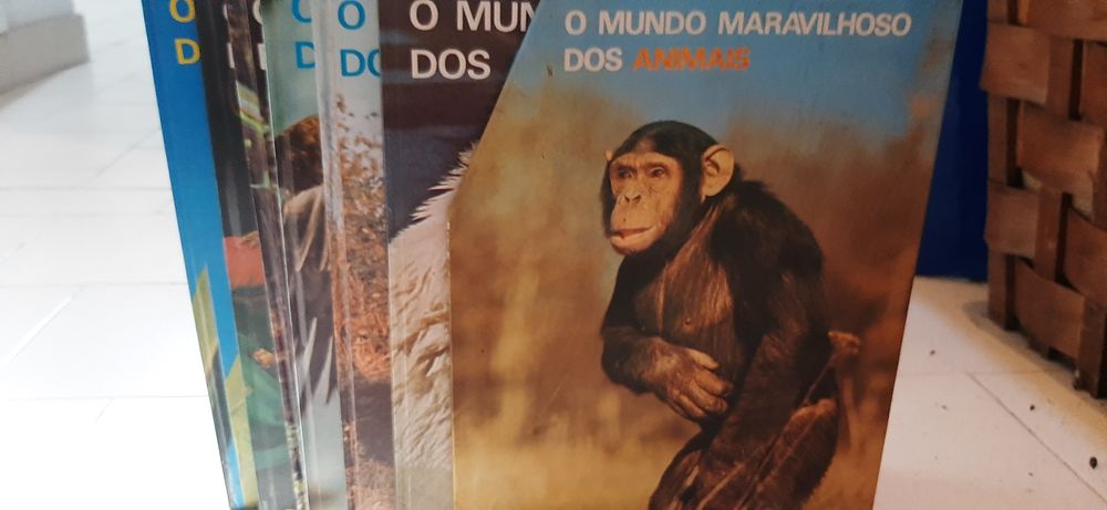 Coleção de 6 livros