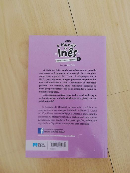 Livro-Chegaram os rapazes!