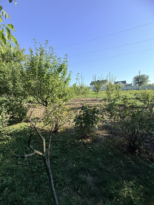 Продаж земельної ділянки Лісові Гринівці