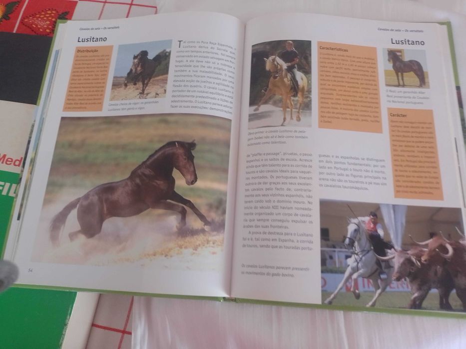 O grande manual dos cavalos