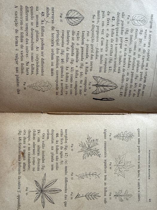 Livro antigo de 1898 – Rudimentos de Botânica e de Agricultura