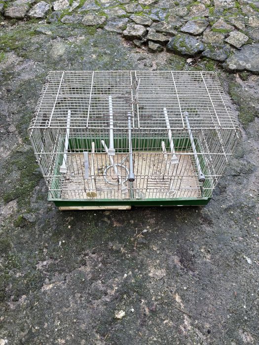 Gaiolas ninhos e acessorios