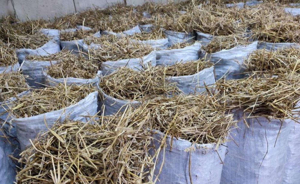 Сіно сено солома в тюках, в мешках с доставкой по нп.