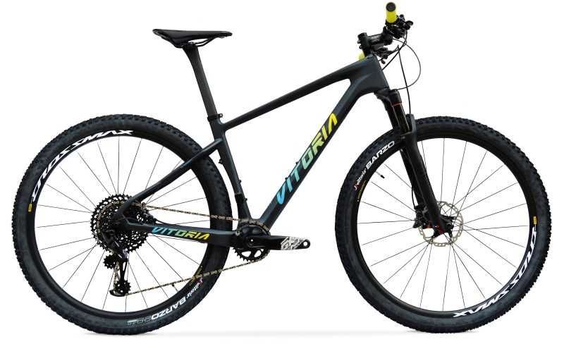 Vitoria Knob L 2019 Carbono