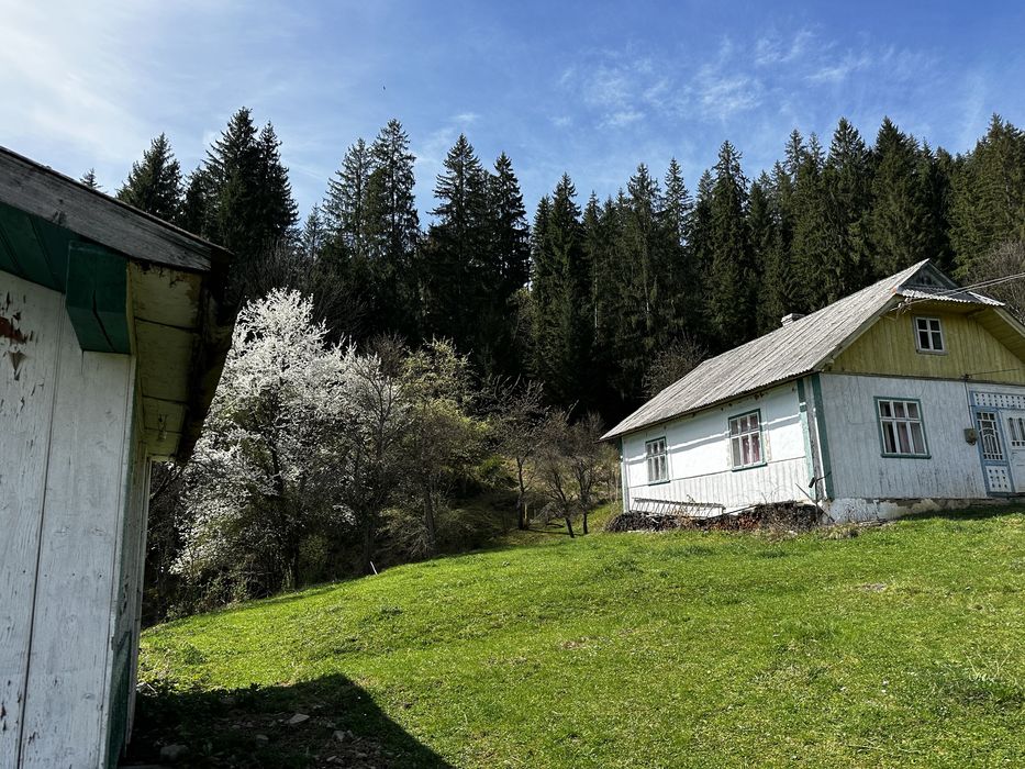 С. Полянки. Верховинський район. Карпати. Нерухомість. Будинок. Земля