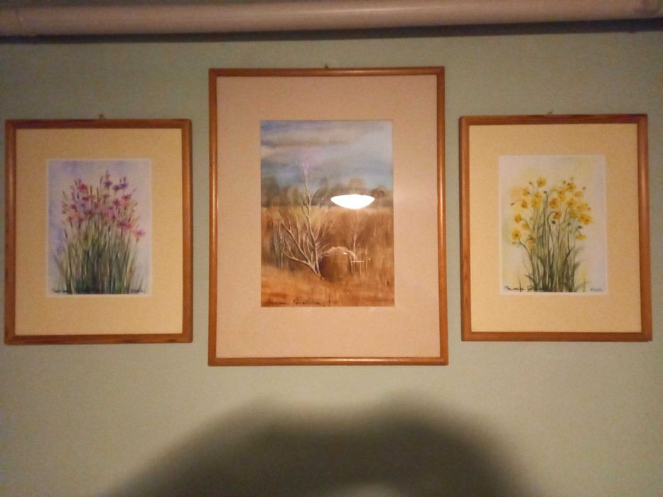 Obrazy akwarele oprawione